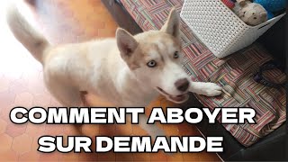 Comment faire aboyer un chien  Tuto [upl. by Derrek717]