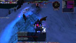 Asherons Call 2  PvP in Palisade on Dawnsong server [upl. by Aniteb]