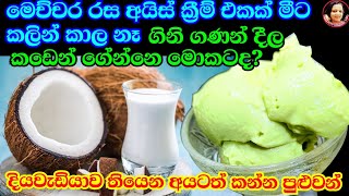 පොල්කිරි මේ තරම් රසයිද කඩේ අයිස්ක්‍රීම් මොකටද මෙහෙම සුපිරියට හදාගන්න Vegan Ice Cream Coconut milk [upl. by Waldner]