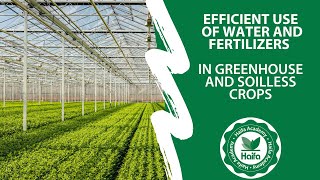 Efficient use of water amp fertilizers in greenhouse soil and soilless crops webinar  Haifa group [upl. by Hermon]