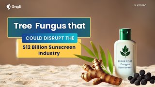 This New Natural Sunscreen is a MustTry [upl. by Ahsilef]