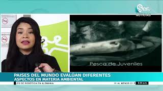 CITES COP 19 en Panamá ganaron los tiburones [upl. by Ixela]