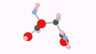 asparagine [upl. by Sylas]