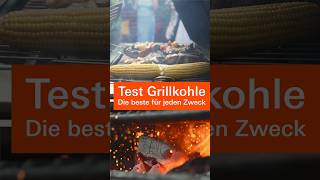 Test Grillkohle 2024 Die besten Grillkohlen und Grillbriketts für jeden Zweck Stiftung Warentest [upl. by Ellicott647]