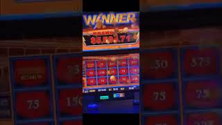 ⚡ Cheeky Grand Jackpot on Lightning Cash 🍻🎰 Pub Pokies Win [upl. by Renault758]