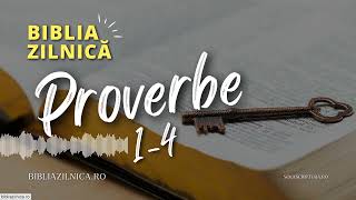 Biblia zilnică  Proverbe 14  Biblia audio [upl. by Mallin]