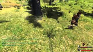 Lets Play Mount and Blade Warband  Spuntys Tale 14 The Legend of Nomar [upl. by Goodrow]