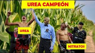 UREA VS NITRATO  FERTILIZACION DEL CULTIVO DE MAIZ  AGRONOMIA  AGRICULTURA [upl. by Haronid653]