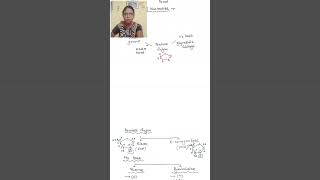 Nucleic acid  Structure of nucleotide  Biomolecules shorts youtubeshorts ncert neetbiology [upl. by Lore395]