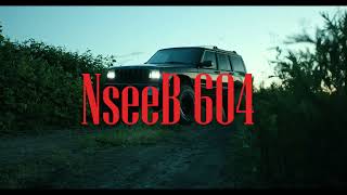 Tu Ni Punjab  NseeB  official video  new punjabi rap 2024 [upl. by Winny]