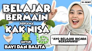 Belajar Bicara Untuk Balita  Mengenal Hewan Lagu Interaktif Untuk Balita Bersama Kak Nisa [upl. by Damaris]