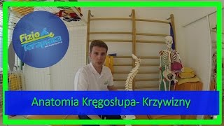 Krzywizny kręgosłupa  Lordoza i Kifoza 3 FizjoTerapia HD [upl. by Theresa]