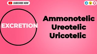 Excretion Ammonotelic Ureotelic and Uricotelic Excretion Ammonotelic urea uricacid biology [upl. by Tootsie]