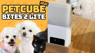 Petcube Bites 2 Lite 2021  Full Features Review  Dog and Cat Reaction 🐾 [upl. by Petrina]