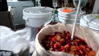 How To Make Crab Apple wine cider amp 57 Gallons Of Wine Homebrew Wednesday 77 [upl. by Maitilde745]