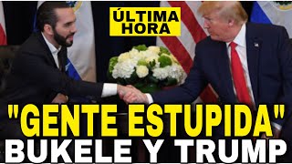 El Mundo TIEMBLA ÚLTIMA HORA HABLA DONALD TRUMP Y NAYIB BUKELE quotGENTE ESTUPIDAquot [upl. by Fidelia807]