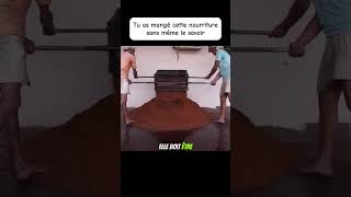 Tu as mangé cette nourriture sans même le savoir  🔥 cuisine food recette nourriture astuce [upl. by Alik]