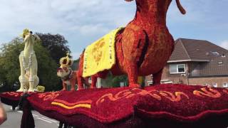 Bloemencorso Lichtenvoorde 2016 Lansink Bluiminck  Opgedoft [upl. by Relyk]