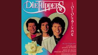 Die Flippers  Lotosblume German Original Version  1989 [upl. by Suoirrad38]