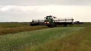 First day of cutting InVigor 5440 canola in 2015 with John Deere W150 swathers [upl. by Nauj127]