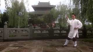 Wudang Tai Chi 13 [upl. by Muire925]