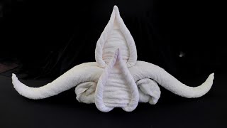 Towel art in housekeeping  Towel folding Design [upl. by Tatum]