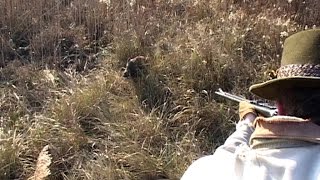 Best of Wild boar hunting in Ludos [upl. by Petuu]