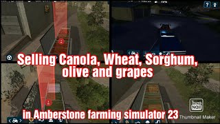 Selling Canola Wheat Sorghum Olive and Grapes in Amberstone farming simulator 23 [upl. by Aivad]