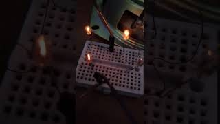 Musical synched lights using 4 mini incandescent lamps in a Wheatstones bridge [upl. by Akienaj547]