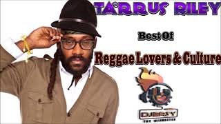 Tarrus Riley Mixtape Best of Reggae Lovers and Culture Mix by djeasy [upl. by Werdnael228]