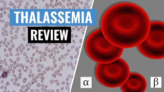 What is Thalassemia  Alpha versus Beta Thalassemia  Thalassemia NCLEX Review  Christina NP [upl. by Lossa]