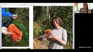 Permaculture Apprenticeship Programs 2024 with Terri Wilde [upl. by Ayikahs257]