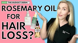 Natural Treatments For Hair Loss  Rosemary Oil Deep Dive  The Budget Dermatologist [upl. by Cusack]