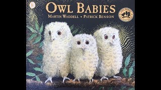 Owl Babies Childrens Storytime  Read aloud [upl. by Om844]