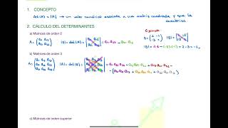 V8T31 CALCULO DE DETERMINANTES Y PROPIEDADES  MATEMÁTICAS EMPRESARIALES GRADO ADE UNIR [upl. by Peltier]