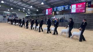 2024 Livestock Show Goats Show [upl. by Eenaej]