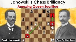 Janowski’s Chess Brilliancy  Amazing Queen Sacrifice  Janowski vs Schlechter 1899 [upl. by Schaffel]