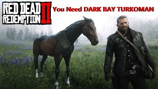 Dark Bay Turkoman Cerberus Get It Early amp Free Red Dead Redemption 2 BestHorses RDR2 [upl. by Wylie822]