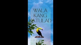 Wala Kang Katulad [upl. by Aicertap]