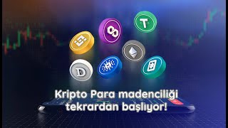 Kripto para madenciliği tekrardan canlanıyor İşte kazılacak coinler [upl. by Carbo78]