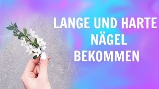 Tipps für lange amp harte NägelVERLOSUNG  Little Pepitas [upl. by Ardnuaet422]