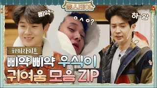 하이라이트 삐약삐약 사랑둥이 우시기 귀여운 모먼트 다 모아봄♥ 나 왜 우시기 없어ㅠㅠ윤스테이  younstay EP5 [upl. by Gula]