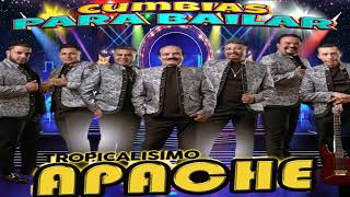 Tropicalisimo Apache Mix Cumbias Para Bailar Toda La Noche 2024❤️Selección de las mejores canciones [upl. by High]