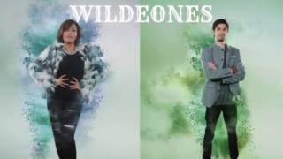 WILDEONES  Tendangan Dari Langit amp Garuda Di Dadaku Audio  The Remix NET [upl. by Hedaza]