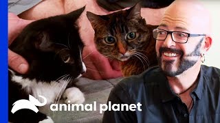 Jackson Galaxy Makes A Massive Difference In the Lives Of These Cats  My Cat From Hell [upl. by Nawud]