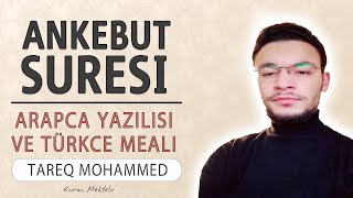 Ankebut suresi anlamı dinle Tareq Mohammed Ankebut suresi arapça yazılışı okunuşu ve meali [upl. by Pouncey548]