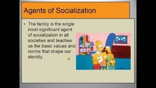 Agents of Socialization [upl. by Ahsinat378]