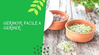 Comment faire des graines germées Bio  Alfalfa amp Roquette facile à réaliser [upl. by Nirre75]