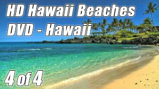 1 WAVE SOUNDS 4 for Studying Relaxing ocean Waves lapping on Hawaii Beach Nature Scene to study [upl. by Adur]