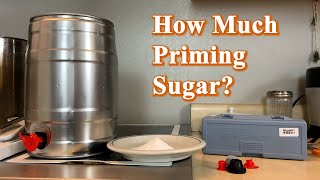 How to Use Mini Keg for Homebrew How Much Priming Sugar [upl. by Moshell]